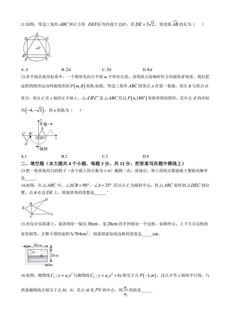 河北省邢台市威县威县寺庄中学2024～2025学年九年级(上)期中数学试卷(含答案)第3页
