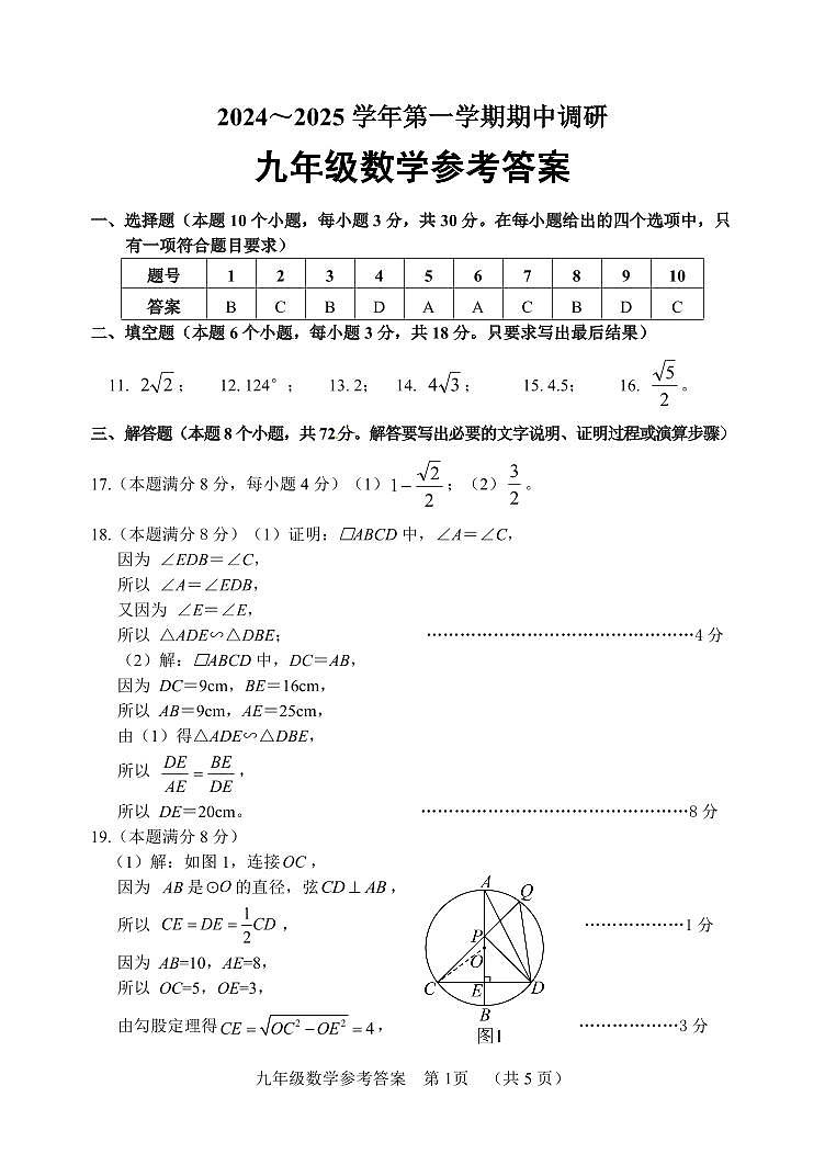 山东省聊城市临清市2024-2025学年九年级上学期期中考试数学试题01