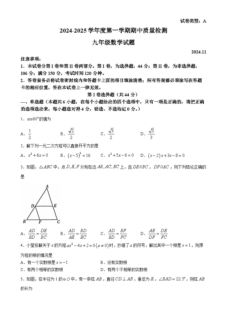 山东省潍坊市潍城区2024-2025学年九年级上学期11月期中考试数学试题(无答案)01