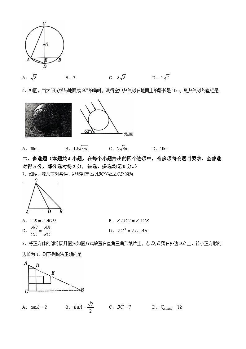山东省潍坊市潍城区2024-2025学年九年级上学期11月期中考试数学试题(无答案)02