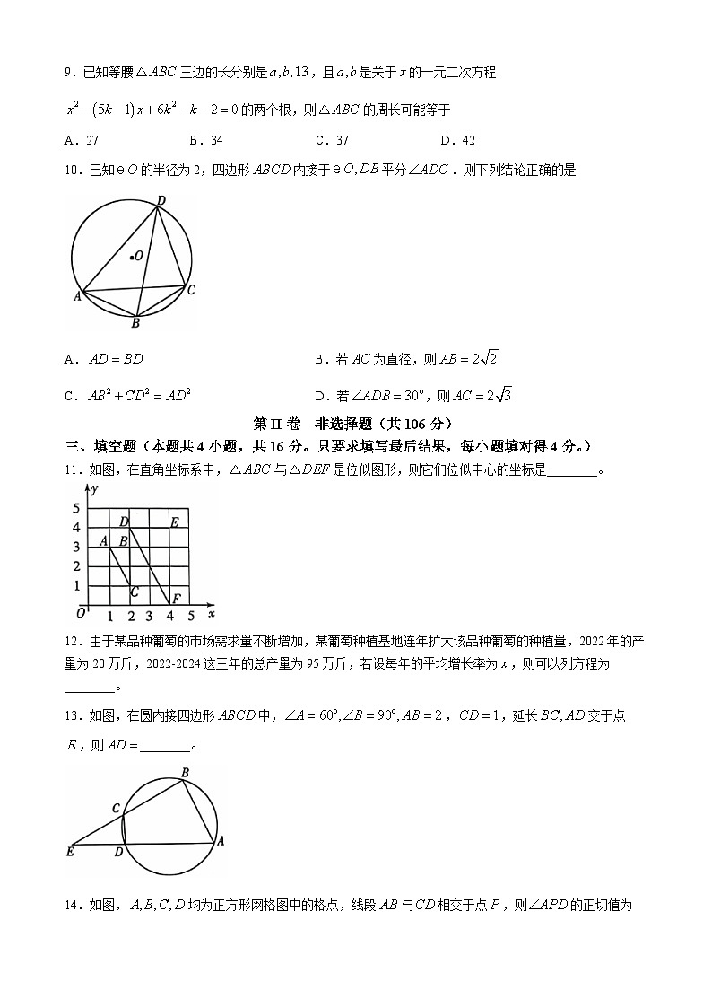 山东省潍坊市潍城区2024-2025学年九年级上学期11月期中考试数学试题(无答案)03