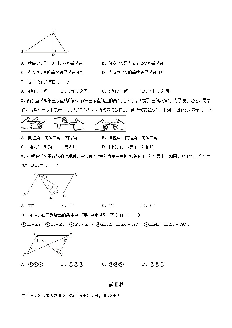 七年级第一次月考提升检测金卷（考试范围：第五-六章）【人教版】（原卷版）第2页