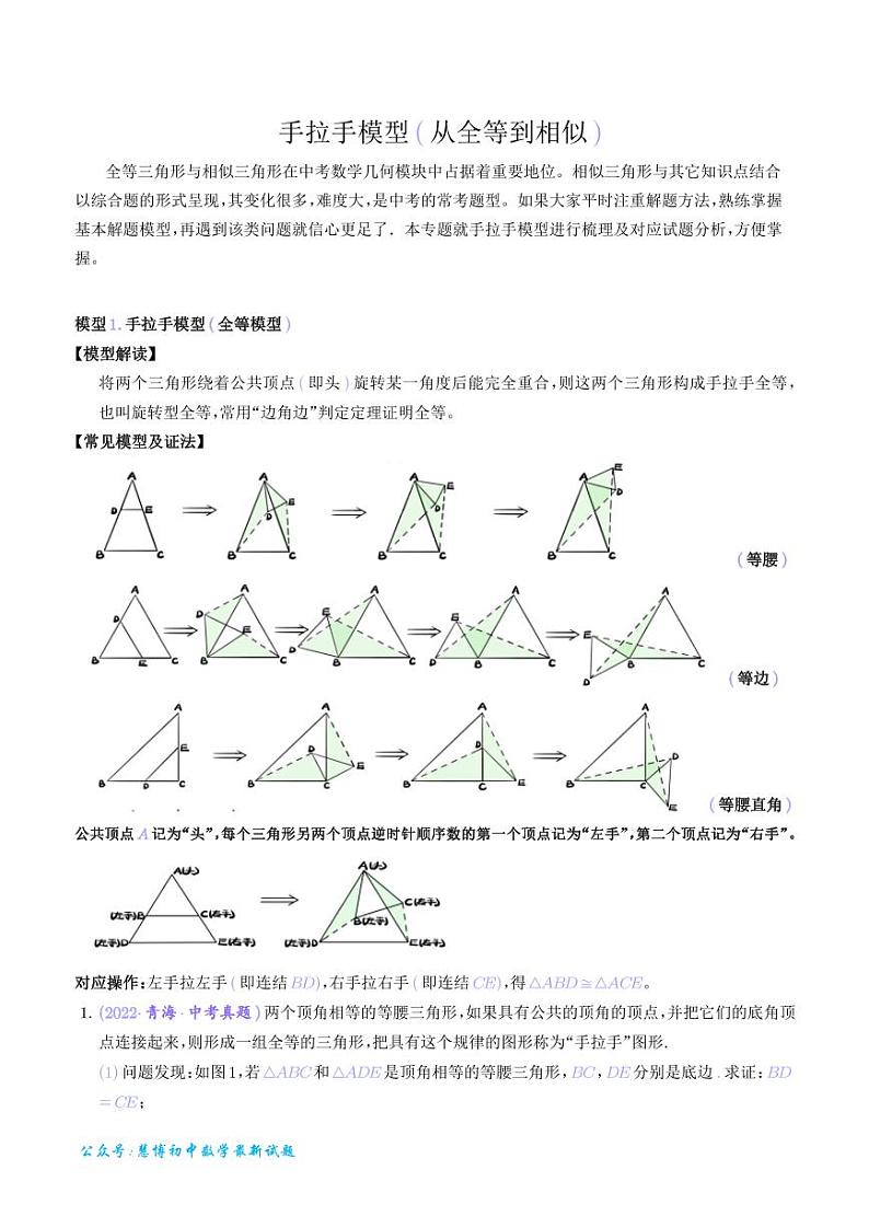 专题 手拉手模型（从全等到相似）（解析版）第1页