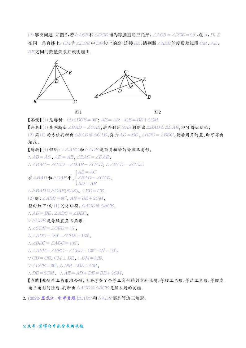 专题 手拉手模型（从全等到相似）（解析版）第2页
