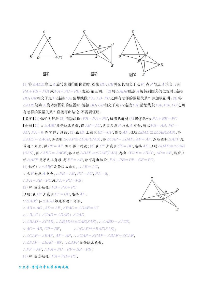 专题 手拉手模型（从全等到相似）（解析版）第3页