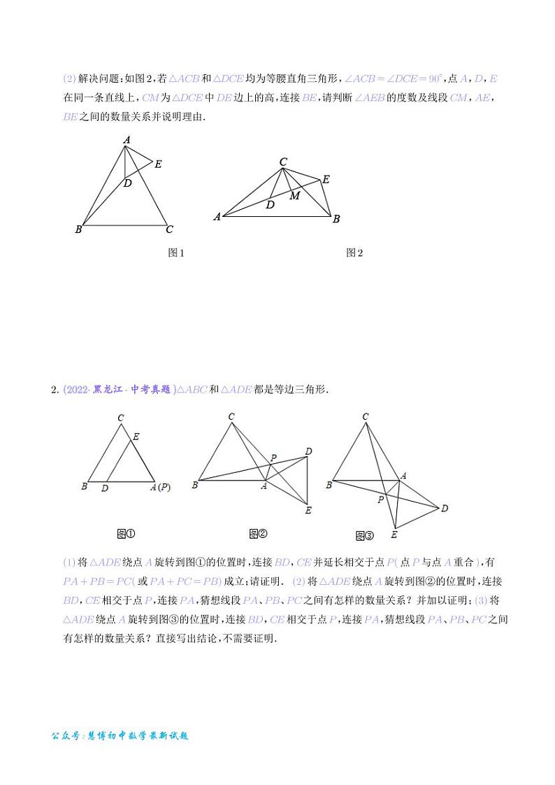 专题 手拉手模型（从全等到相似）（学生版）第2页