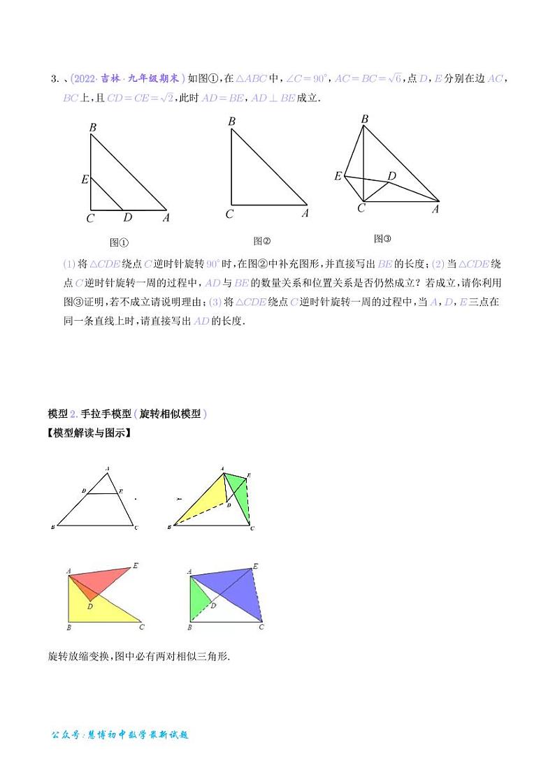 专题 手拉手模型（从全等到相似）（学生版）第3页