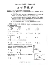 广东省茂名市2022-2023学年九年级上学期期末考试数学试题
