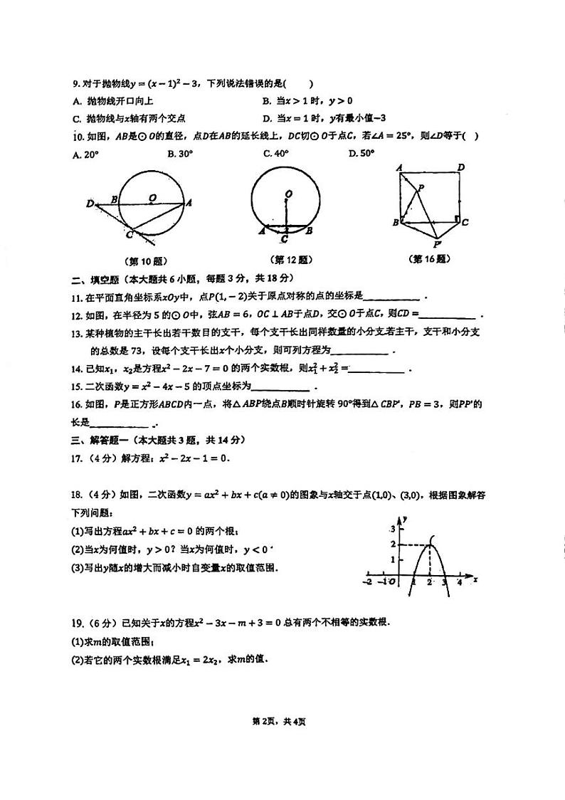 广东省江门市省实学校2023-2024学年九年级上学期期中数学试题第2页