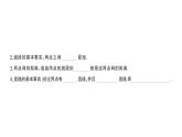初中数学新华东师大版七年级上册3.5.1 点和线课堂作业课件2024秋