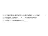初中数学新华东师大版七年级上册4.2.2 平行线的判定课堂作业课件2024秋