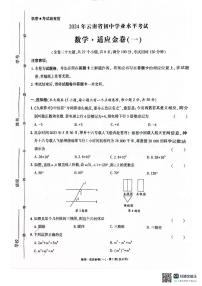 云南省昭通市巧家县2023-2024学年九年级下学期4月月考数学试题
