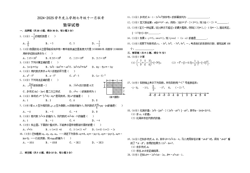 2024-2025学年度上学期七年级11月联考数学试卷第1页