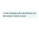 初中數(shù)學(xué)新華東師大版七年級(jí)上冊(cè)3.1 生活中的立體圖形作業(yè)課件（2024秋）