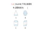 初中數(shù)學(xué)新華東師大版七年級(jí)上冊(cè)3.1 生活中的立體圖形作業(yè)課件（2024秋）