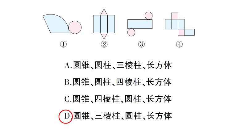 初中数学新华东师大版七年级上册3.3 立体图形的表面展开图作业课件（2024秋）第3页