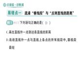 初中數(shù)學(xué)新華東師大版七年級(jí)上冊(cè)第4章 相交線和平行線易錯(cuò)易混專項(xiàng)講練作業(yè)課件（2024秋）