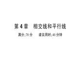 初中數(shù)學(xué)新華東師大版七年級(jí)上冊(cè)第4章相交線和平行線綜合練習(xí)課件2024秋
