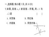 初中數(shù)學(xué)新華東師大版七年級(jí)上冊(cè)第4章相交線和平行線綜合練習(xí)課件2024秋