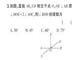 初中數(shù)學(xué)新華東師大版七年級(jí)上冊(cè)第4章相交線和平行線綜合練習(xí)課件2024秋