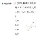 初中数学新华东师大版七年级上册4.1.1 对顶角作业课件（2024秋）
