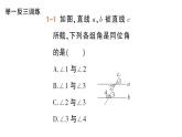 初中数学新华东师大版七年级上册4.1.3 同位角、内错角、同旁内角作业课件（2024秋）