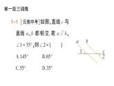 初中數(shù)學(xué)新華東師大版七年級上冊4.2.3 平行線的性質(zhì)作業(yè)課件（2024秋）