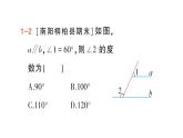 初中數(shù)學(xué)新華東師大版七年級上冊4.2.3 平行線的性質(zhì)作業(yè)課件（2024秋）