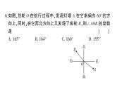 初中数学新华东师大版七年级上册期末综合检测卷 备用卷(二)课件2024秋
