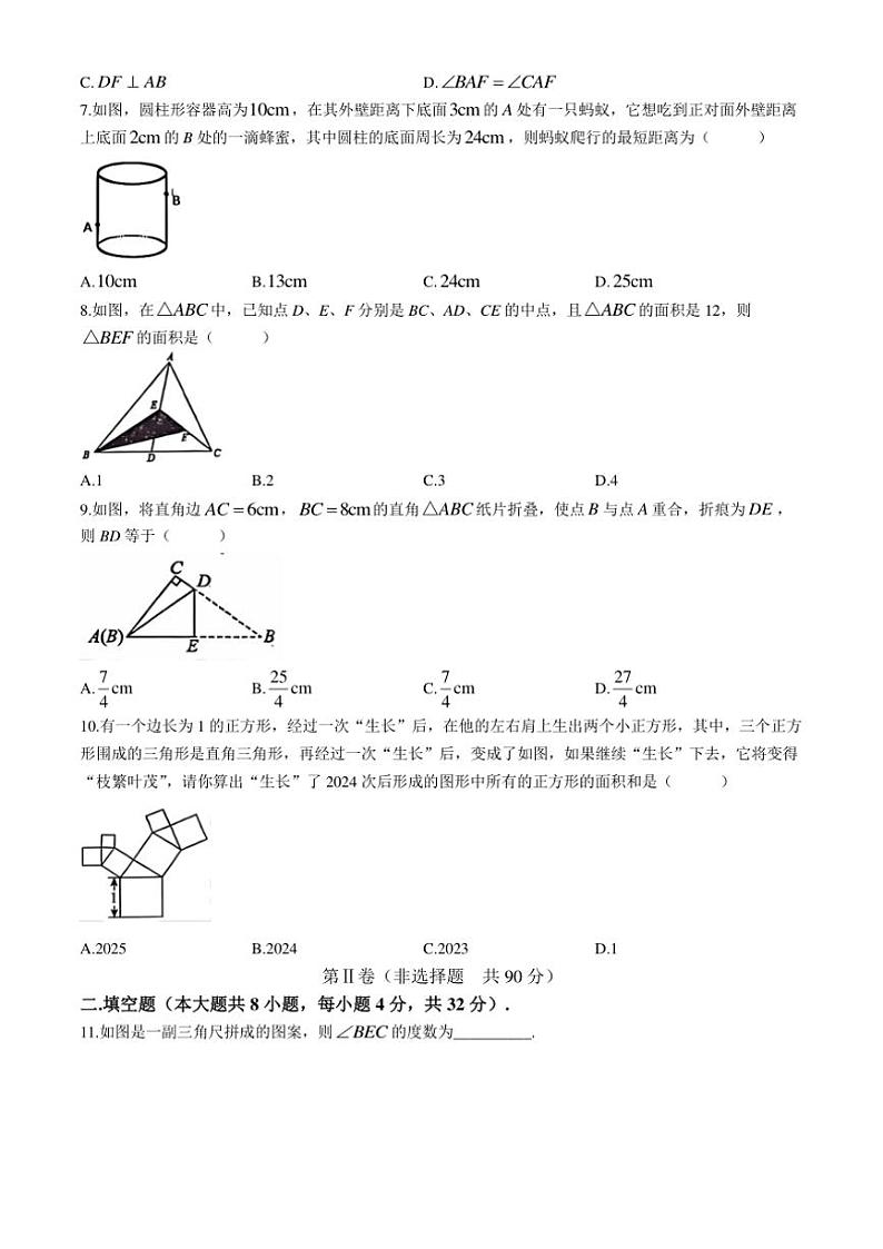 山东省东营市利津县2024—2025学年七年级(上)期中数学试卷(含答案)第2页