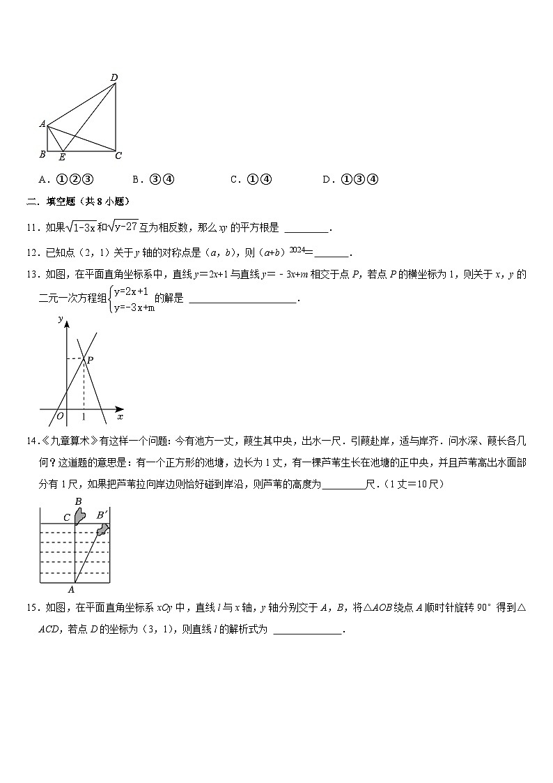 2024--2025学年人教版七年级数学上册期末复习试题第3页
