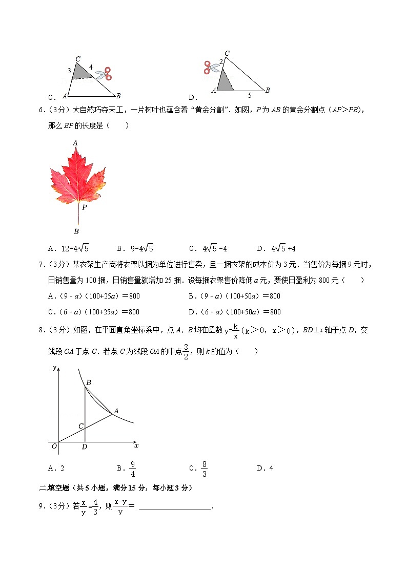 广东省深圳市龙岗区百合外国语学校2024-2025学年九年级上学期期中数学试卷第2页