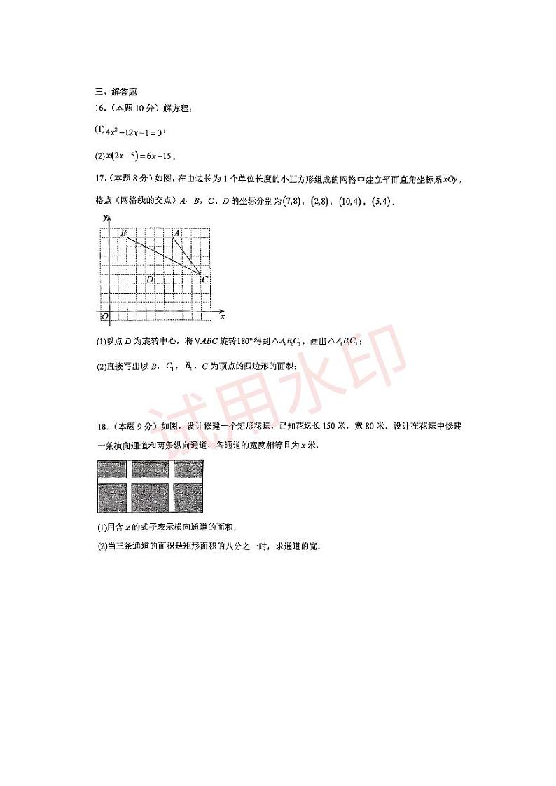 2024-2025学年九年级第二次段考数学试卷第3页