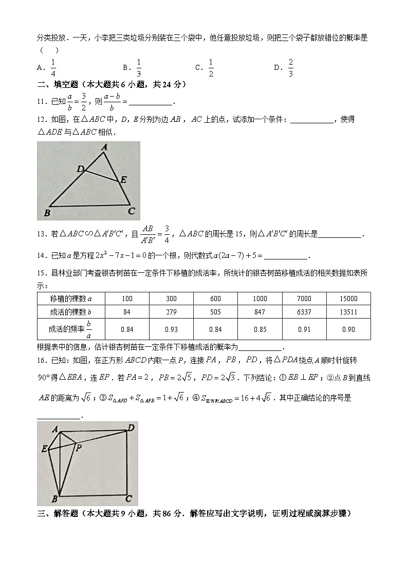福建省三明市宁化县2024-2025学年九年级上学期期中考试数学试题(无答案)第3页