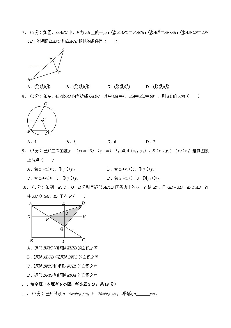 浙江省金华市金东区2024-2025学年九年级上学期期中考试数学试卷（含答案解析）02