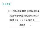初中數(shù)學(xué)新華東師大版七年級上冊第2章 整式及其加減數(shù)學(xué)活動 居民身份證號碼和學(xué)籍號作業(yè)課件（2024秋）