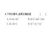 初中數(shù)學(xué)新華東師大版七年級上冊第2章整式及其加減（二）（第2章）綜合練習(xí)課件2024秋