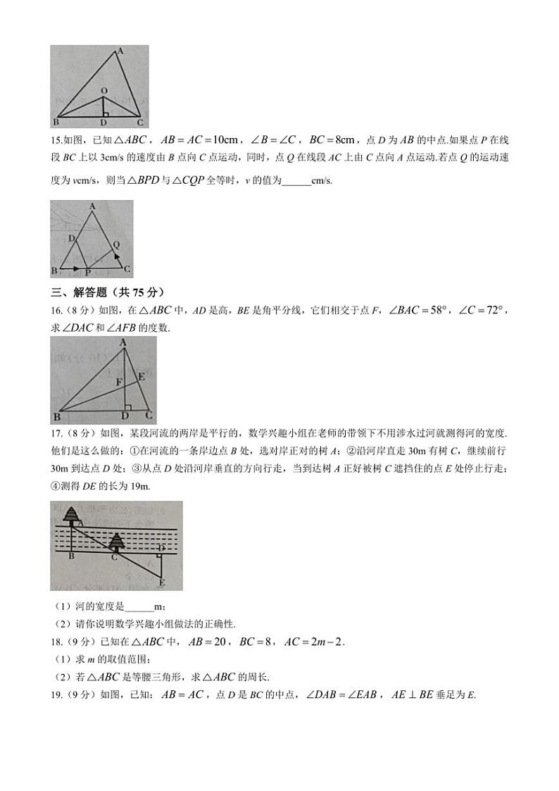 河南省安阳市滑县师达学校2024～2025学年八年级(上)数学期中试卷(含答案)第3页