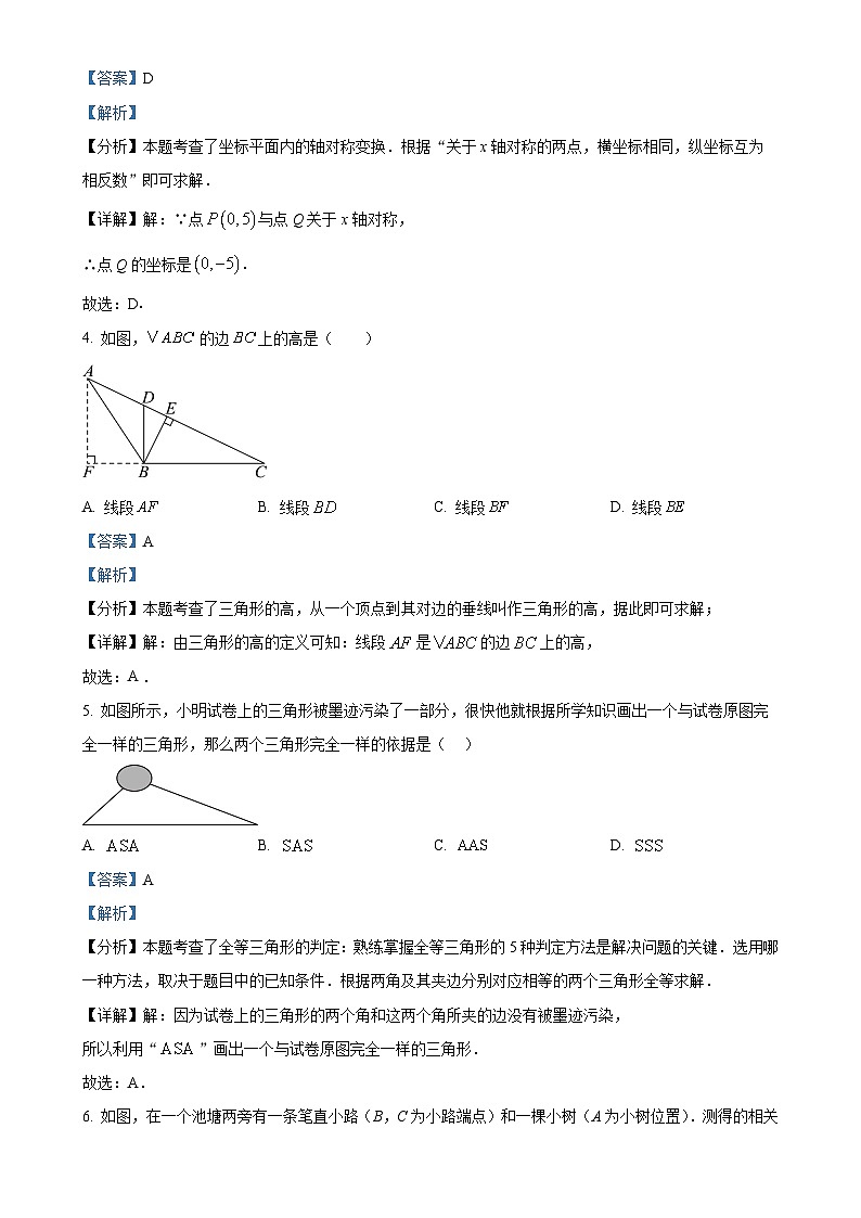 广西南宁市广西大学附属中学2024-2025学年八年级上学期数学期中考试试题（解析版）-A4第2页