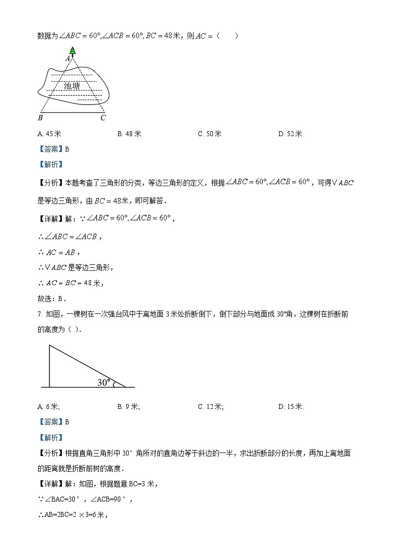 广西南宁市广西大学附属中学2024-2025学年八年级上学期数学期中考试试题（解析版）-A4第3页