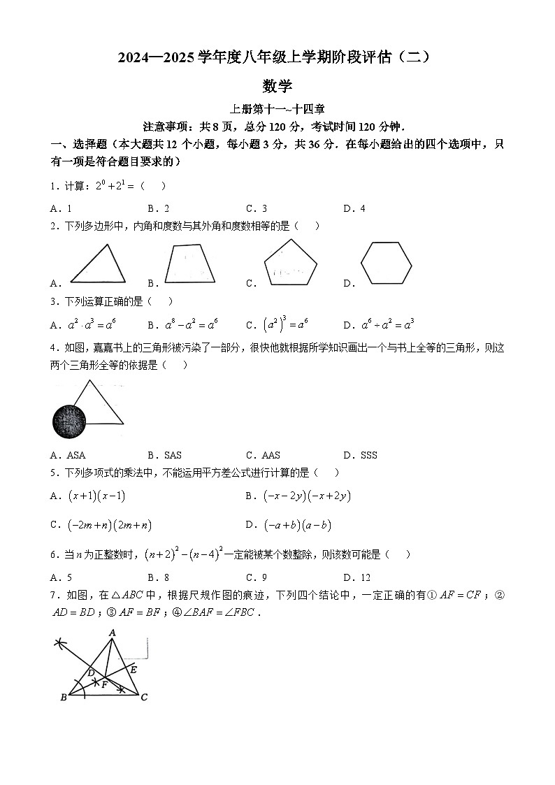 河北省廊坊市2024-2025学年八年级上学期11月月考数学试题第1页