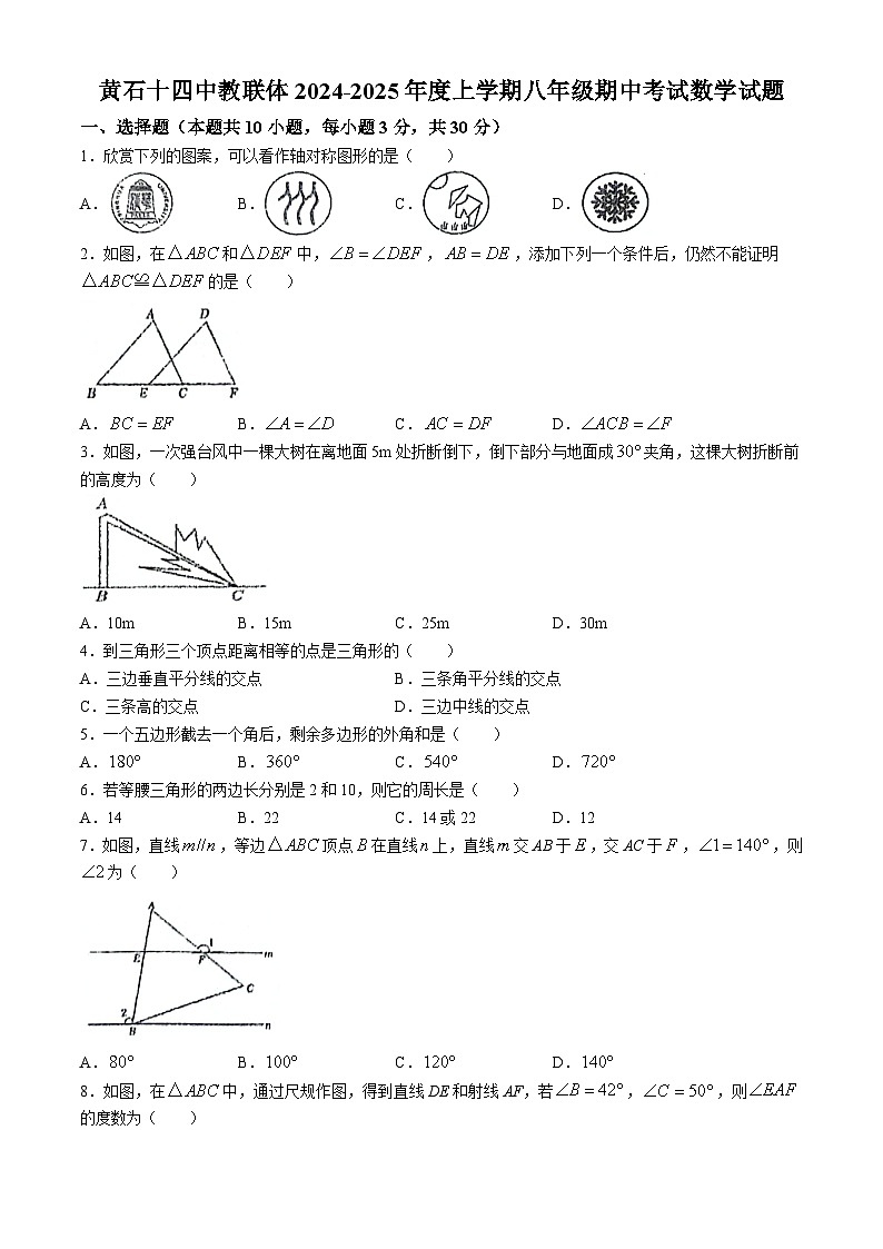 湖北省黄石十四中教联体2024-2025学年八年级上学期期中考试数学试题第1页