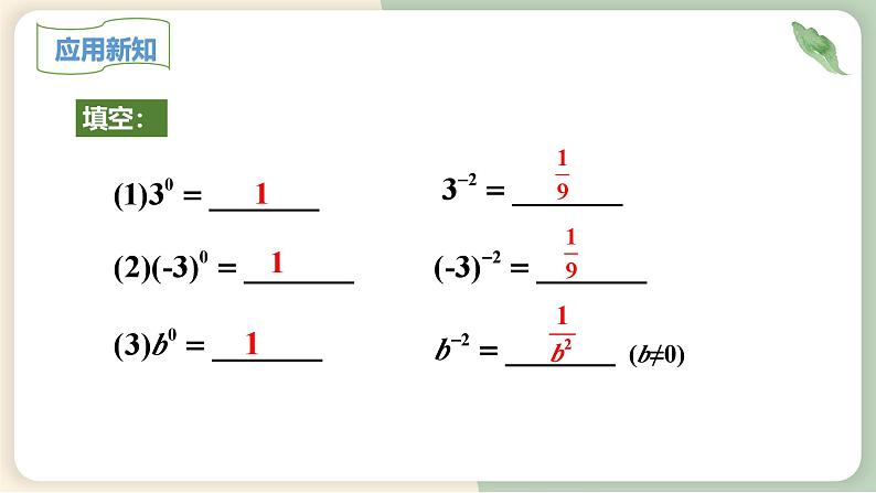 15.2.3 整数指数幂 初中数学人教版八年级上册教学课件第7页