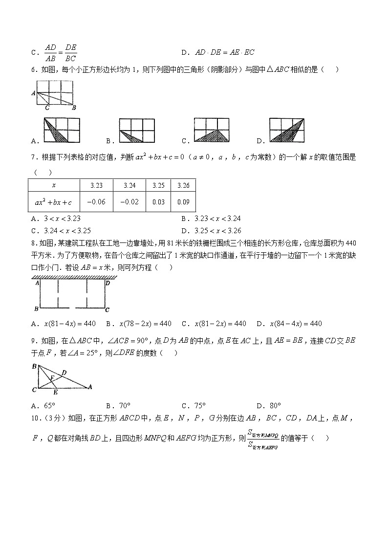 辽宁省阜新市第十六中学2024-2025学年九年级上学期11月期中考试数学试题(无答案)02