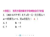 2024统编版数学七年级上册第五章一元一次方程专题9　方程中与字母参数有关的问题习题课件ppt
