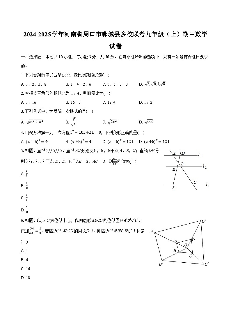 河南省周口市郸城县多校联考2024-2025学年九年级上学期期中考试数学试卷第1页