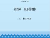 北师大版数学九年级上册 4.3 相似多边形课件