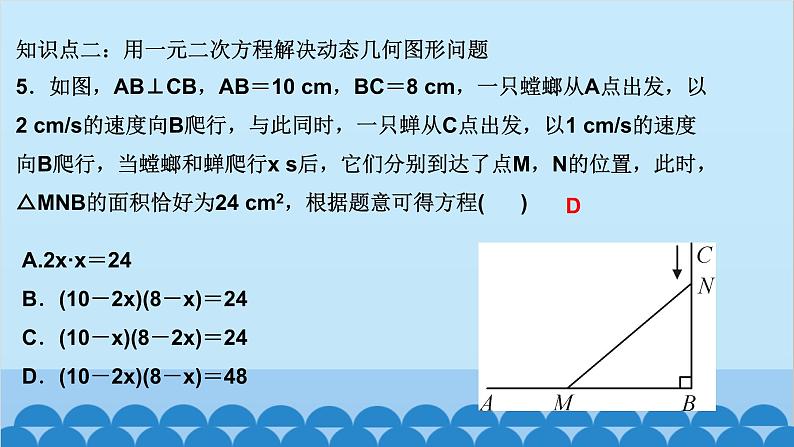 2.6　应用一元二次方程 第1课时　利用一元二次方程解决几何问题第7页