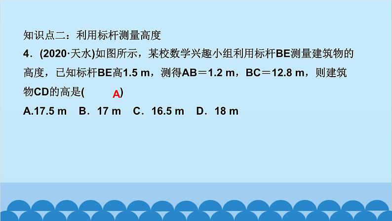 4.6 　利用相似三角形测高第4页