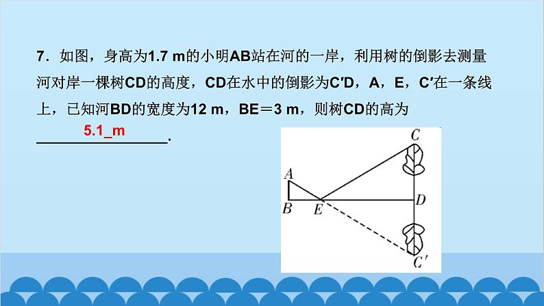 4.6 　利用相似三角形测高第7页